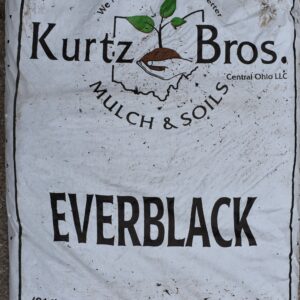 Everblack 2cf bag
