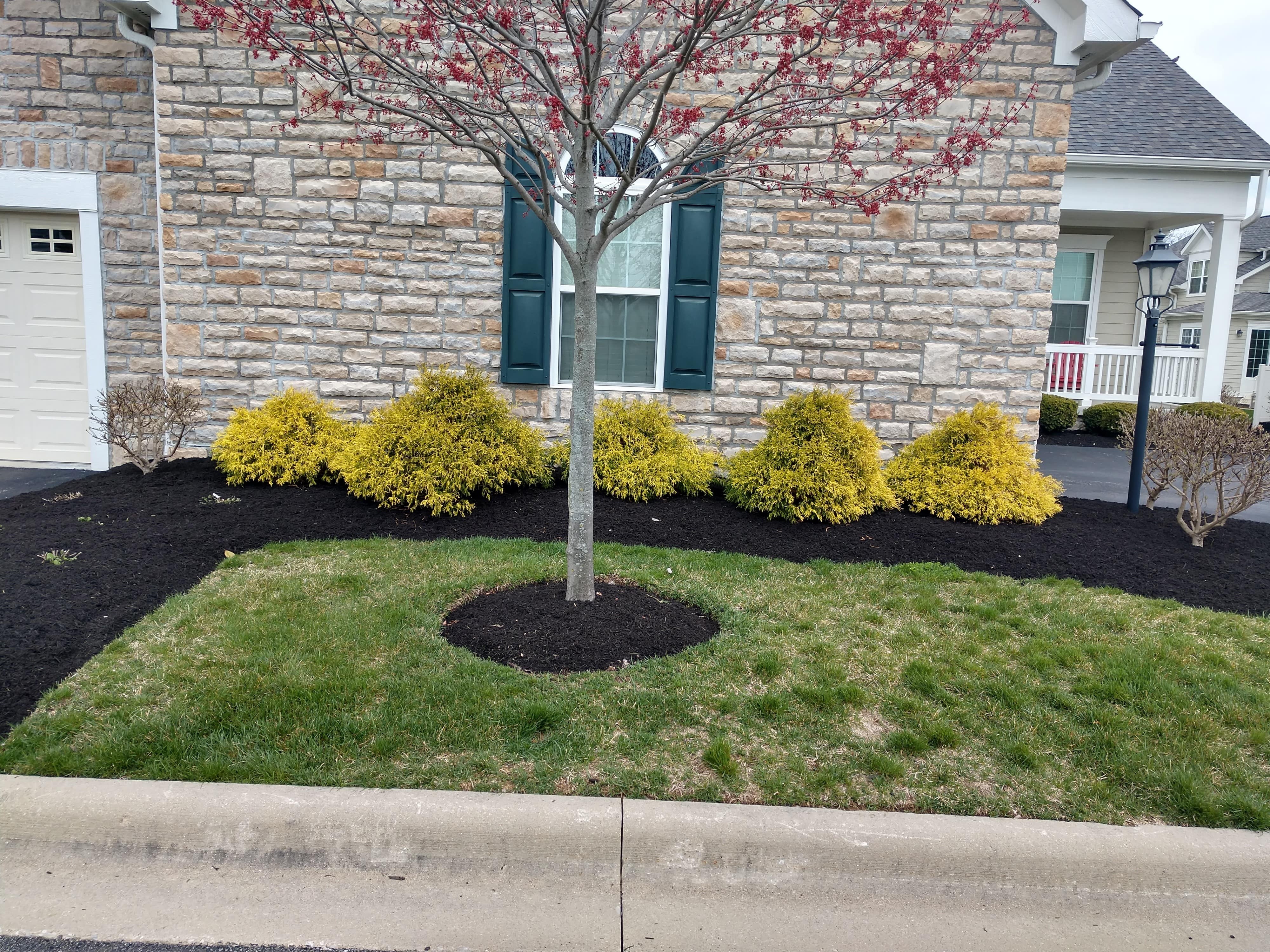 藤原君ページ‼️ブラックOSB！ Everblack Mulch – Kurtz Bros – Central Ohio LLC