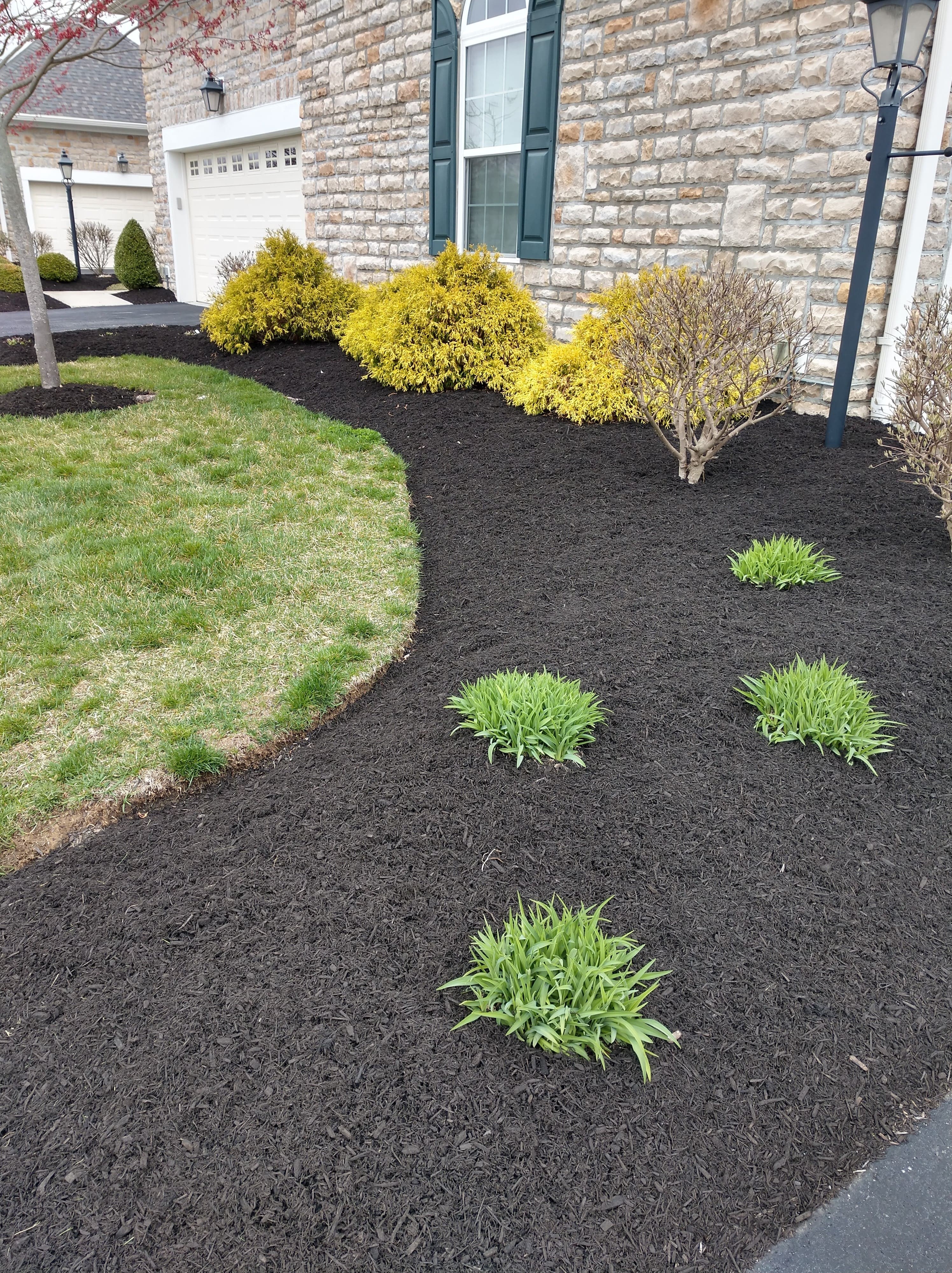 ブラックハーブ　３００ml ブラックハーブ- 【エステ商材】【エステ卸】サロン向け美容商材の美肌