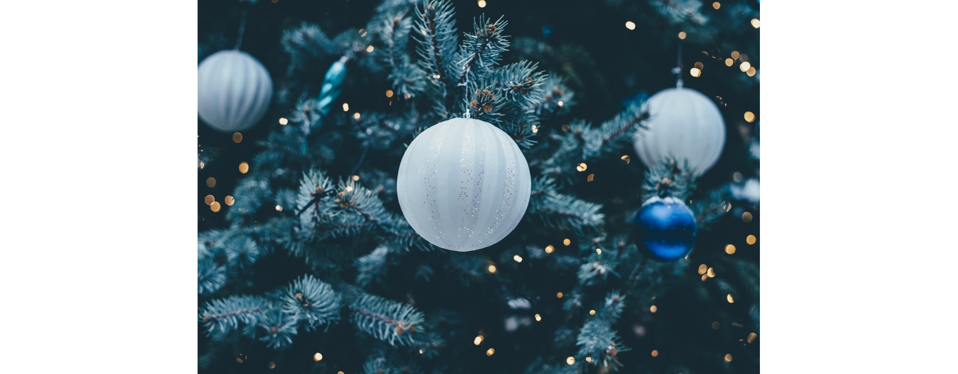 How to Dispose of Your Christmas Tree Kurtz Bros Central Ohio LLC