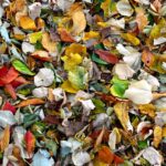 leaf pile