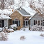 Yard in the Winter